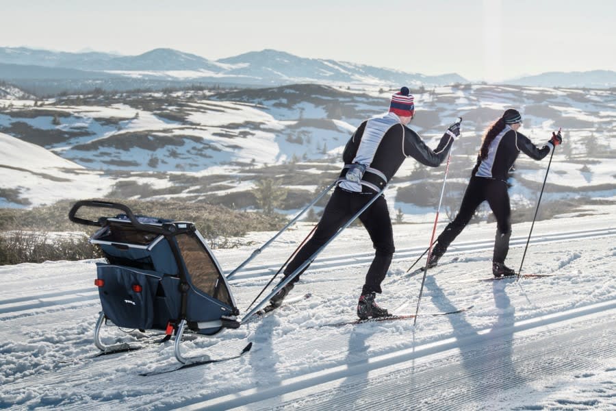 CARRITO THULE CHARIOT CROSS 1
