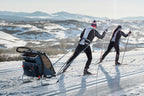 CARRITO THULE CHARIOT CROSS 1
