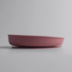 PLATO DE SILICONA CON BASE DE SUCCIÓN