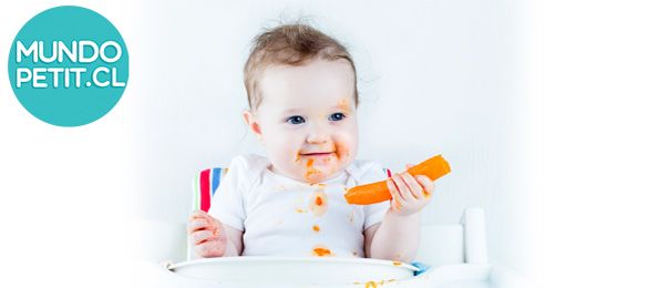 BABY LED WEANING - ACCESORIOS BLW BEBÉS 2024