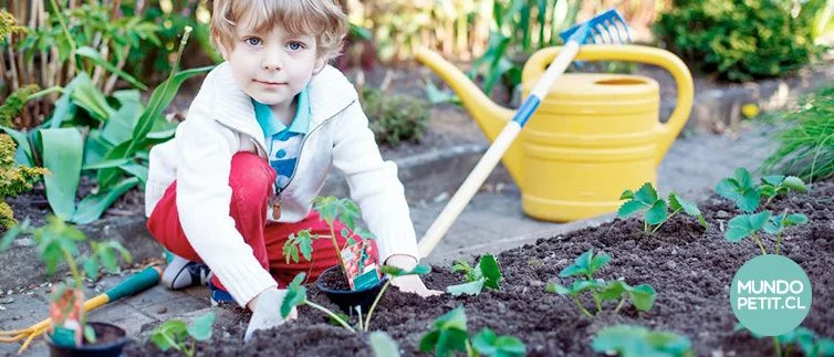 huerto en casa niños