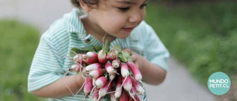 huerta.vegetales